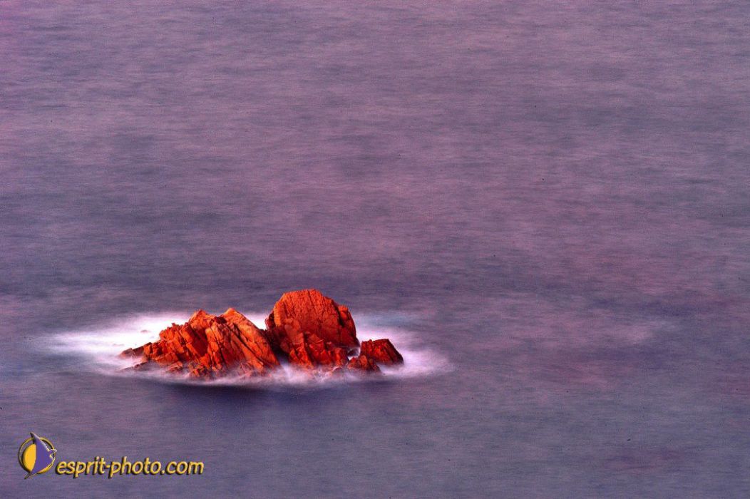 Nom de l'image : EP12a-006_(c)Norbert-JUNG — Description :